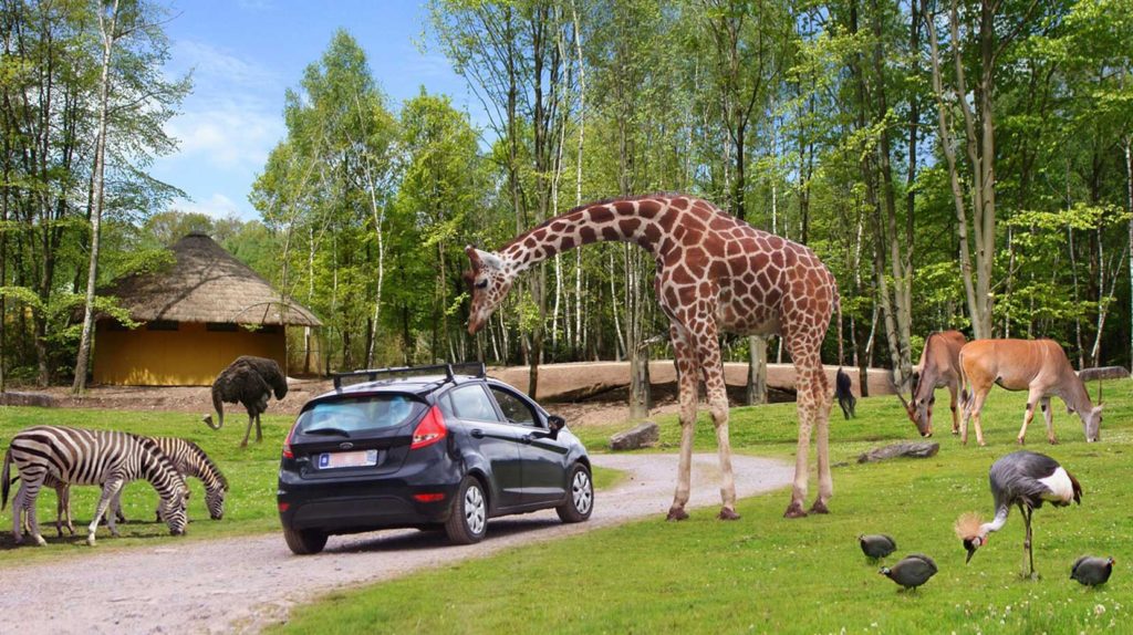 Safaripark Beekse Bergen